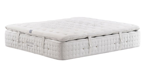 haynes（臻选舒睡棉柔层）